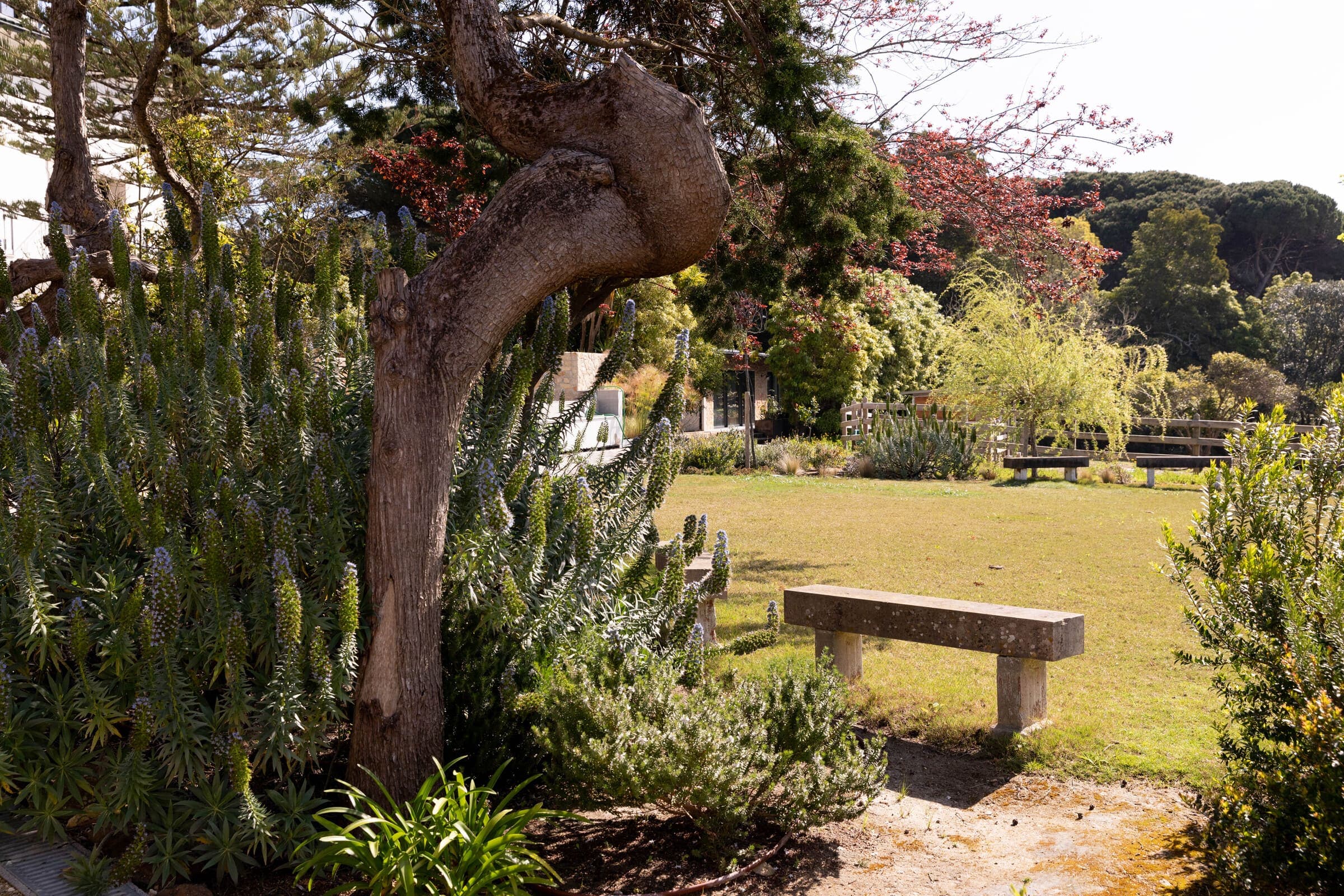 Homeward Ranch Landscape
