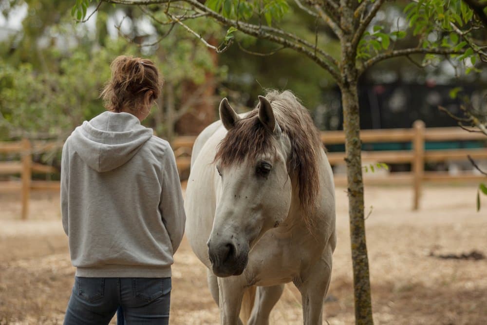 Peaceful moment with a horse