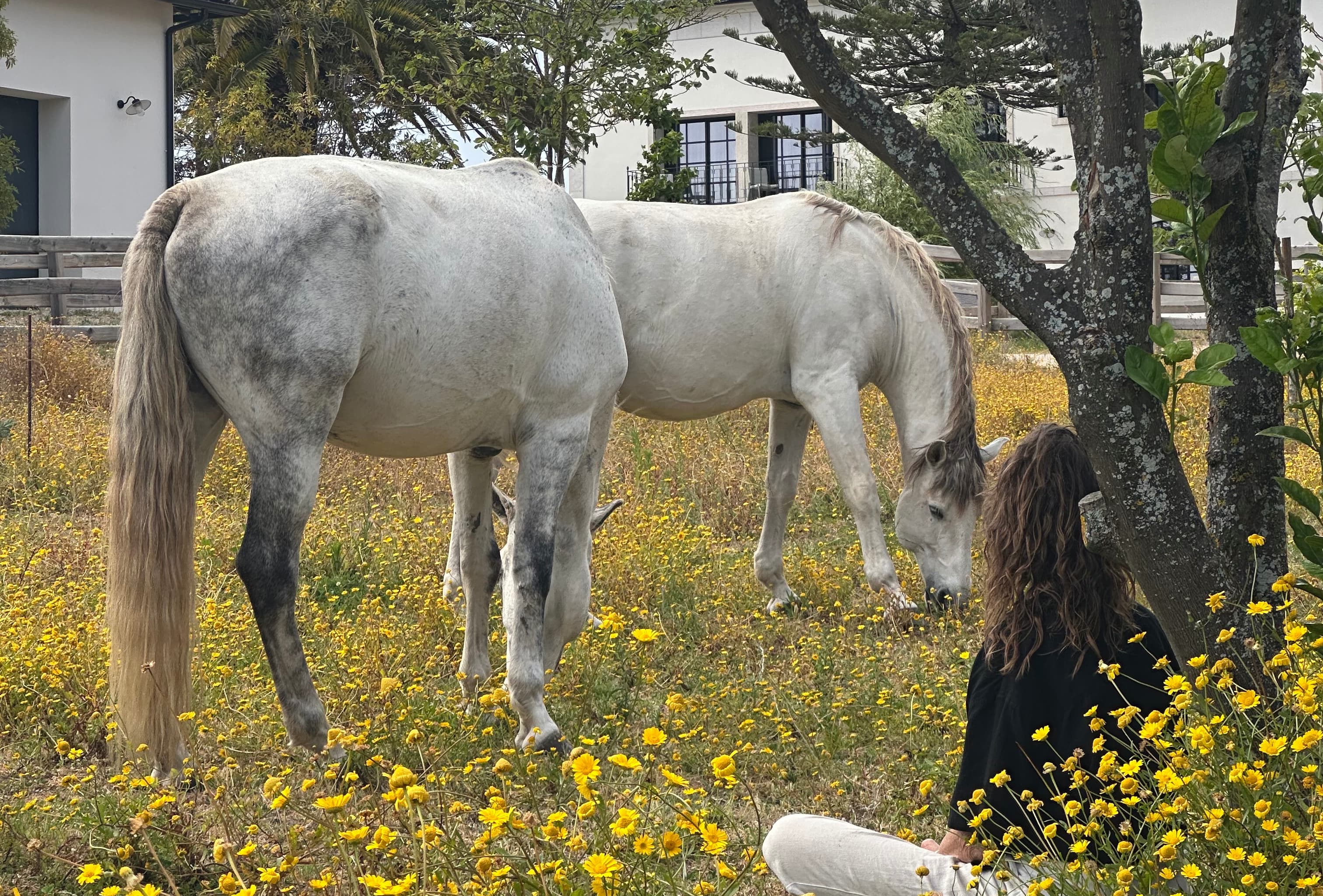 EMBODIED HORSEWOMANSHIP RETREAT