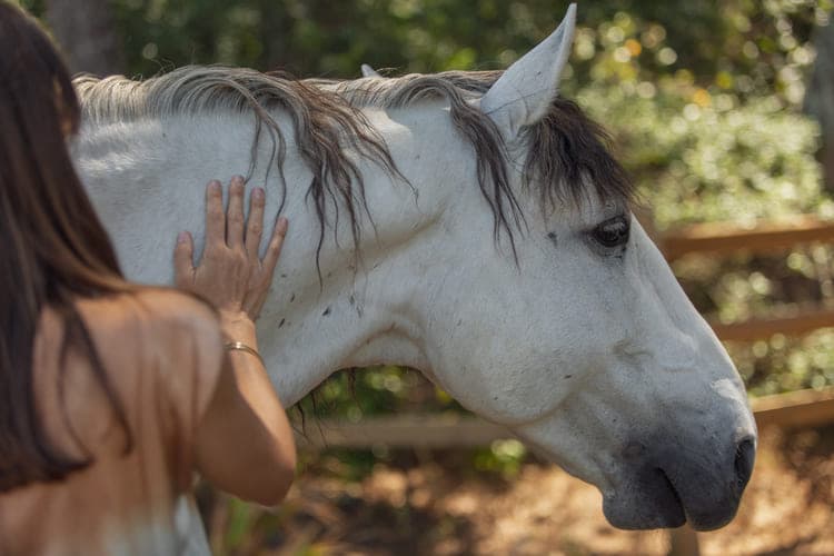 Equine-Guided Empowerment®